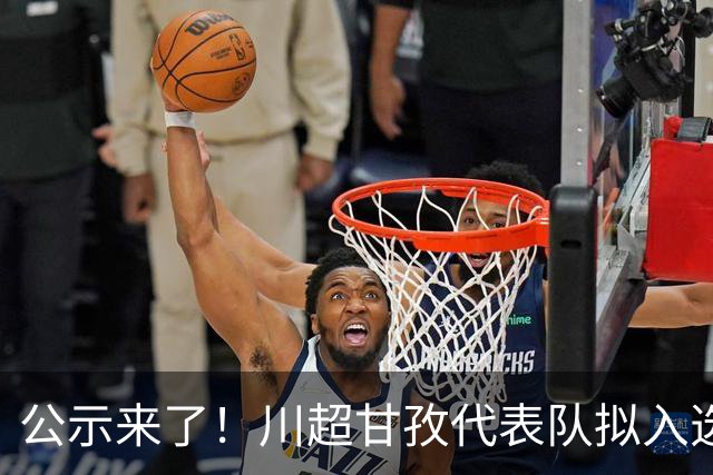 公示来了！川超甘孜代表队拟入选名单出炉→
